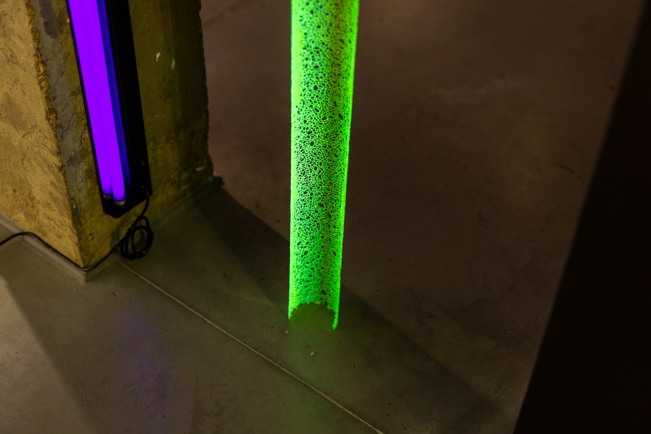 Mélanie Vincent- La colonne au Centre Wallonie Bruxelles pour Symbiosium 2 Crédit photo Alexandre Alloul